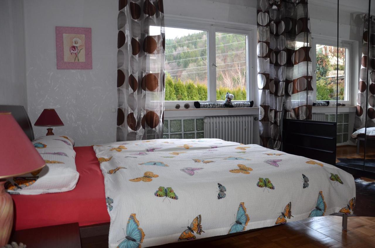 Ferienwohnung Klock Weisenbach Dış mekan fotoğraf